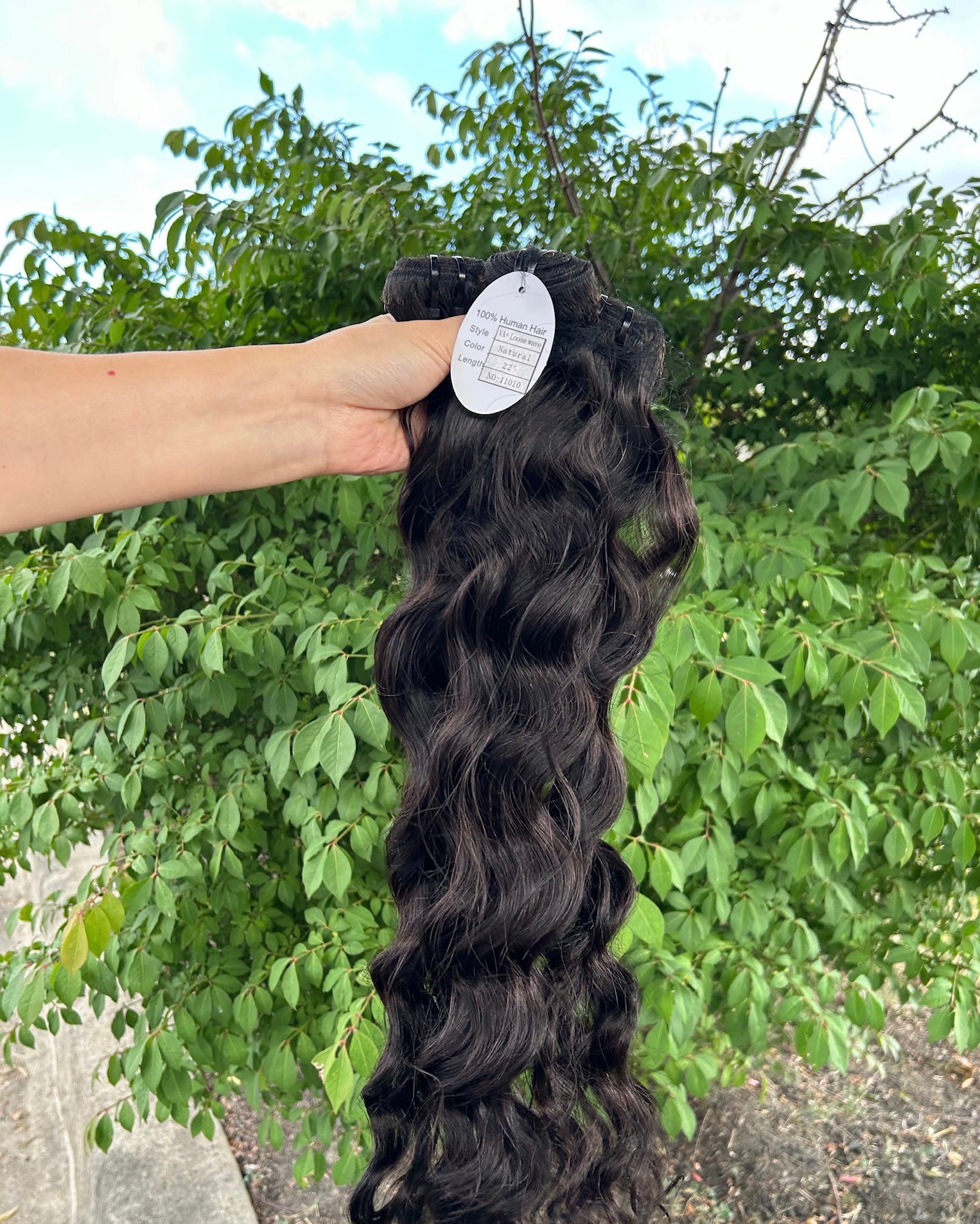 Loose Wave