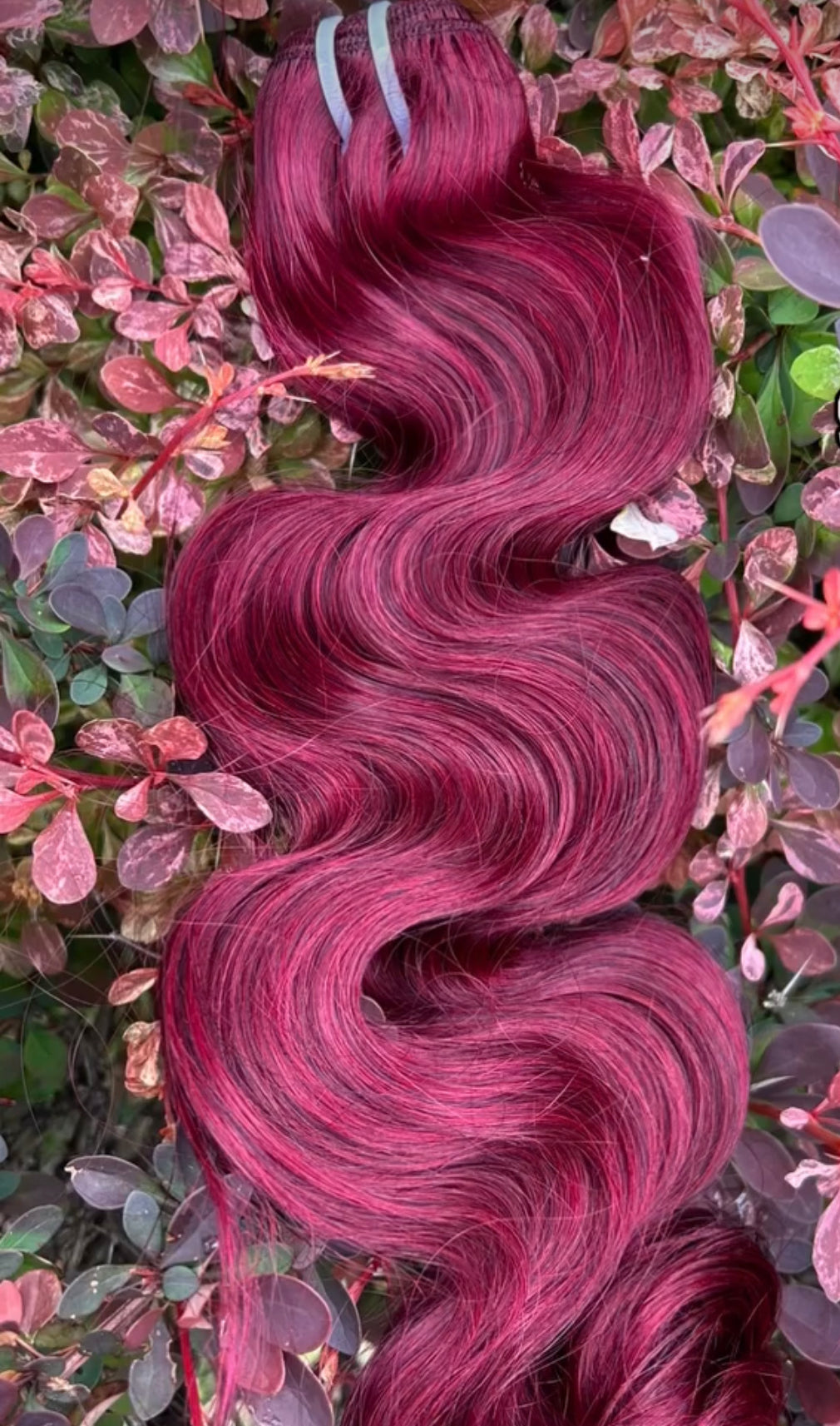 Body Wave