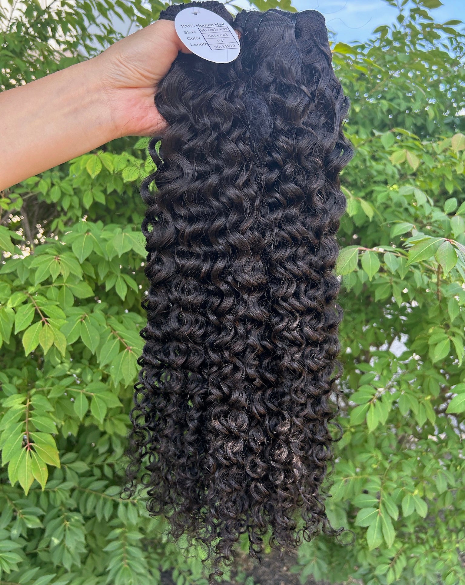 Curly