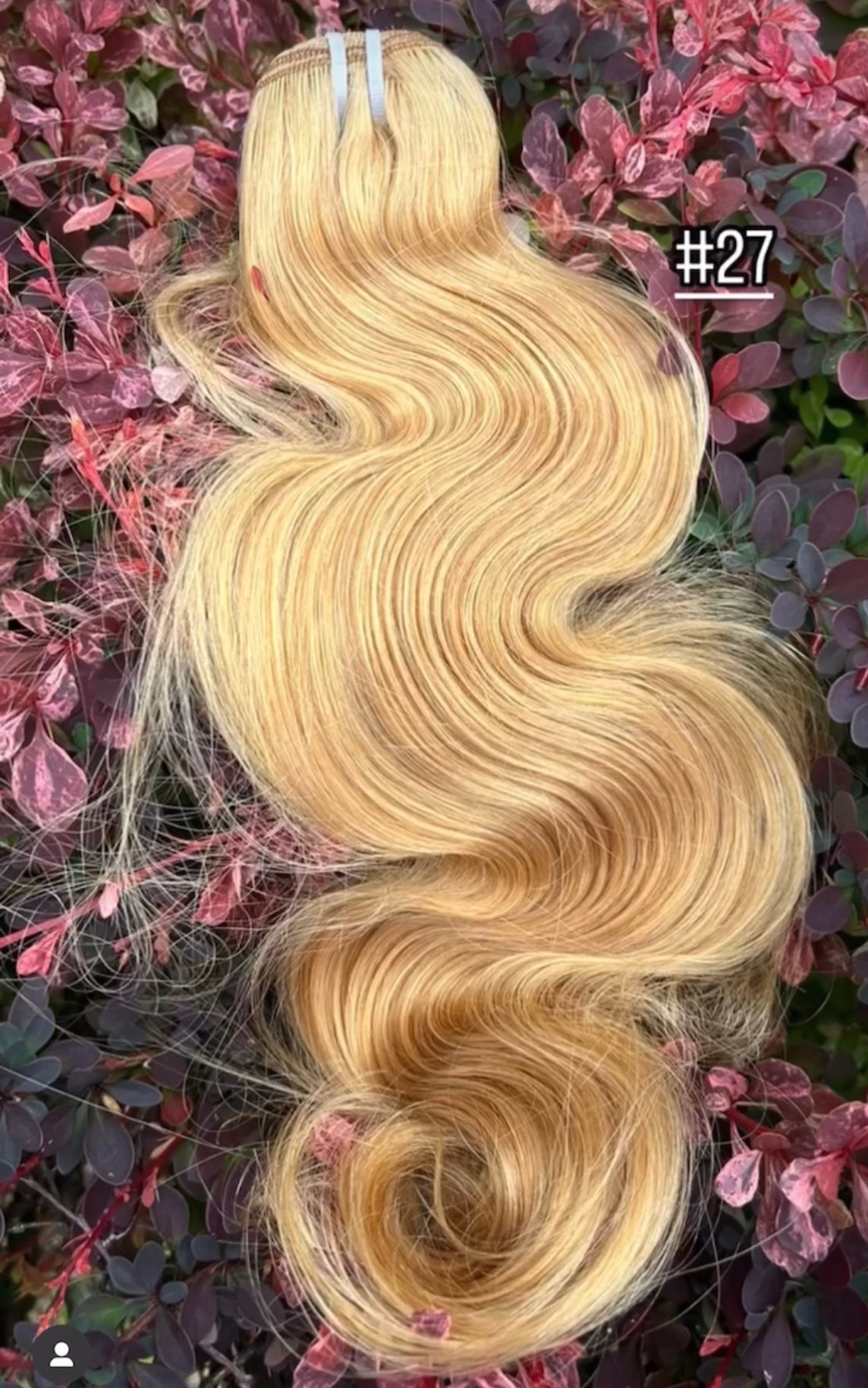 Body Wave